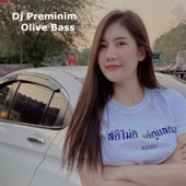 DJ Preminim artwork