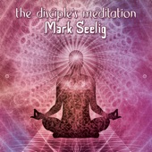 Mark Seelig - Rain Meditation