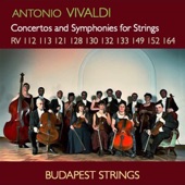 Concerto for Strings in E Minor, RV 133: III. Allegro artwork