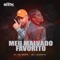 Meu Malvado Favorito (feat. DJ GH Sheik) - Mc Laureta lyrics