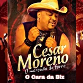 O Cara da Biz (Cover) artwork