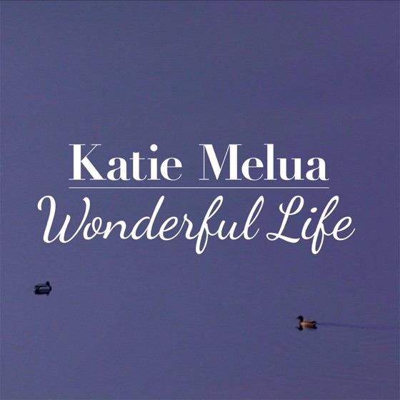 Cover artwork for Wonderful Life