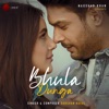 Bhula Dunga - Single