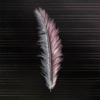 Black and White - Single