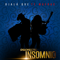 Proyecto Insomnio - Ojalá Que Te Mueras artwork