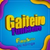 Gaiteiro Funkseiro - Single