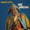 Luiz Gonzaga - Choromingo