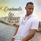 Contando las horas artwork