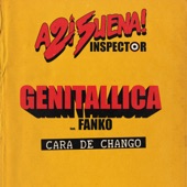 Cara de Chango (feat. Fanko) artwork