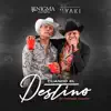 Cuando El Destino (En Vivo) - Single album lyrics, reviews, download