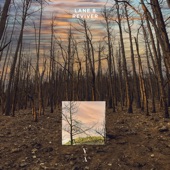 Lane 8 - Reviver