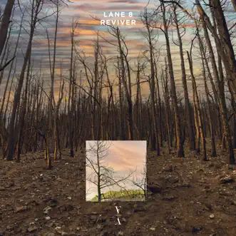 Reviver - Single by Lane 8 album reviews, ratings, credits