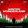 Winter Wonderland - Single