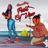 Point of View - Single