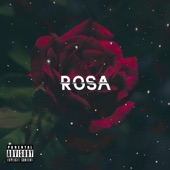 ROSA (feat. kevinngxx & DEADBYMORNING) artwork