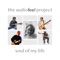 Soul of My Life (feat. Gerry Finan) - The Audiofeel Project lyrics