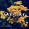 Only Her (feat. Gaidaa, Teflon Sega & pluko) - Buquetii lyrics
