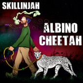 Albino Cheetah artwork