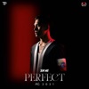 Perfect-Ag2021 - EP
