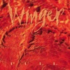 Winger - Down Incognito