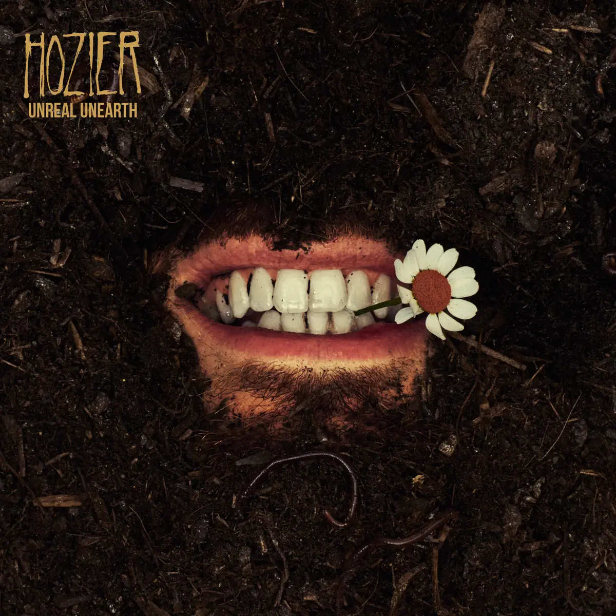 Hozier - Francesca - Pre-Single (2023) [iTunes Plus AAC M4A]-新房子