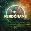 Perdóname - Single