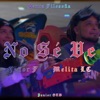 No Se Ve (feat. Melita LC) - Single