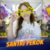 Santri Pekok - Single