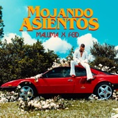 Mojando Asientos (feat. Feid) artwork