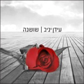 שושנה artwork