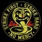 Cobra Kai Never Dies (Strike First, Strike Hard, No Mercy!) artwork