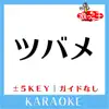 TSUBAME No Guide melody Original by YOASOBI song lyrics