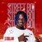 Street Boi - S. Dollar lyrics