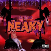 Neaky, Pt. 2 by Jay Hound