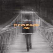 Te Ví en Mi Sueño artwork