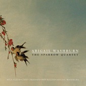 Abigail Washburn - His Eye Is On The Sparrow