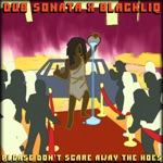 Please Don't Scare Away the Hoes - Single