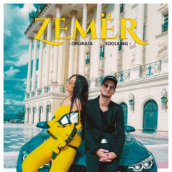 ZEMER cover art