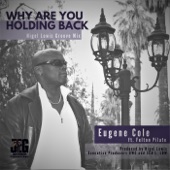 Why Are You Holding Back (Nigel Lowis Groove Mix) [feat. Felton Pilate] artwork