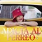 Adicta al Perreo artwork