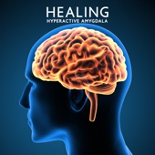 Healing Hyperactive Amygdala: Cure Anxiety Panic Attacks, Nerve Regeneration (Brain Wave Therapy Music) artwork