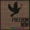 Freedom Now (feat. Golshifteh Farahani & Arooj Aftab) - Single