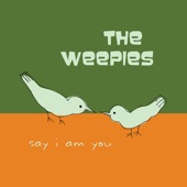 The Weepies - Take It from Me