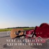 Niks Te Verliezen - Single