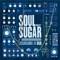 Pablo Dub (feat. Booker T. & Blundetto) - Soul Sugar lyrics