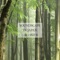 Forest -Shimanto-Morning(Spring) artwork