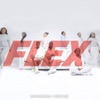 Flex - Single