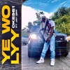 Ye Wo Lyy (feat. Jay Van)