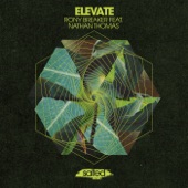 Rony Breaker - Elevate (Miguel Migs Salty Space Dub)
