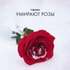 Умирают розы - Single